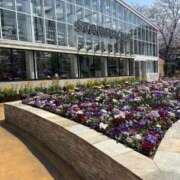 ヒメ日記 2026/03/31 22:53 投稿 花音 池袋角海老