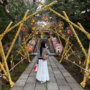 ヒメ日記 2026/04/01 10:53 投稿 花音 池袋角海老