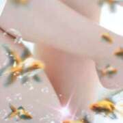 ヒメ日記 2025/04/22 21:34 投稿 天海 品川しろうさぎ