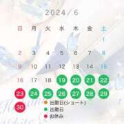 ヒメ日記 2024/06/20 00:12 投稿 こはく ホワイトベル