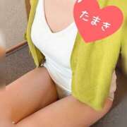 ヒメ日記 2025/04/09 10:54 投稿 【体験】たまき ママ友倶楽部