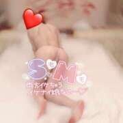 ヒメ日記 2024/12/09 14:38 投稿 える プロフィール 京都店