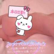 ヒメ日記 2025/06/20 08:54 投稿 える プロフィール 京都店