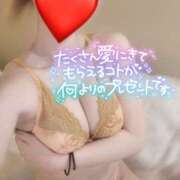 ヒメ日記 2025/09/11 08:09 投稿 える プロフィール 京都店