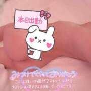 ヒメ日記 2025/11/13 15:29 投稿 える プロフィール 京都店