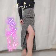 ヒメ日記 2025/04/08 07:26 投稿 三ツ木 るか 夜這い専門 発情する奥様たち梅田店