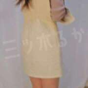 ヒメ日記 2025/12/23 23:46 投稿 三ツ木 るか 夜這い専門 発情する奥様たち梅田店