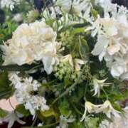 ヒメ日記 2025/04/11 23:27 投稿 姫野 HERMINE-エルミネ-