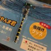 ヒメ日記 2025/04/27 21:41 投稿 姫野 HERMINE-エルミネ-