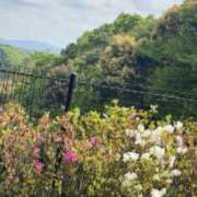 ヒメ日記 2025/05/01 22:34 投稿 姫野 HERMINE-エルミネ-