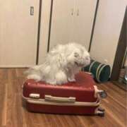 ヒメ日記 2025/08/09 18:52 投稿 姫野 HERMINE-エルミネ-