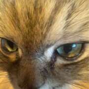 ヒメ日記 2025/08/14 21:31 投稿 姫野 HERMINE-エルミネ-