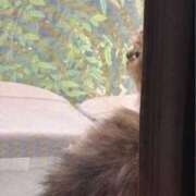 ヒメ日記 2025/10/07 11:33 投稿 姫野 HERMINE-エルミネ-