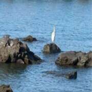 ヒメ日記 2025/10/13 22:08 投稿 姫野 HERMINE-エルミネ-