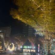 ヒメ日記 2025/11/24 17:01 投稿 姫野 HERMINE-エルミネ-