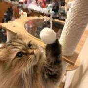 ヒメ日記 2026/03/25 09:45 投稿 姫野 HERMINE-エルミネ-