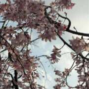 ヒメ日記 2026/04/05 16:31 投稿 姫野 HERMINE-エルミネ-