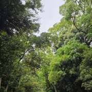 ヒメ日記 2025/05/15 15:47 投稿 結城 HERMINE-エルミネ-