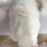 ヒメ日記 2025/05/21 19:27 投稿 結城 HERMINE-エルミネ-