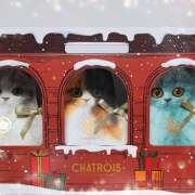 ヒメ日記 2025/12/20 23:08 投稿 結城 HERMINE-エルミネ-