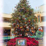 ヒメ日記 2025/12/25 23:56 投稿 結城 HERMINE-エルミネ-