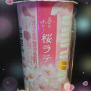 ヒメ日記 2026/04/02 05:01 投稿 結城 HERMINE-エルミネ-