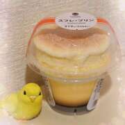 ヒメ日記 2026/04/19 04:29 投稿 結城 HERMINE-エルミネ-