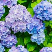 ヒメ日記 2026/06/08 16:58 投稿 結城 HERMINE-エルミネ-