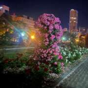 ヒメ日記 2025/07/02 15:23 投稿 なほ 花火-hanabi-(すすきの)