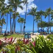 ヒメ日記 2025/07/20 17:03 投稿 なほ 花火-hanabi-(すすきの)