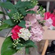 ヒメ日記 2026/03/14 15:33 投稿 なほ 花火-hanabi-(すすきの)