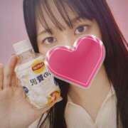 ヒメ日記 2025/12/24 17:03 投稿 こよみ 神田ハンドメイド