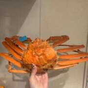 ヒメ日記 2024/12/18 18:28 投稿 あみ マリン土浦本店