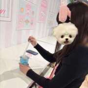 ヒメ日記 2025/01/26 08:22 投稿 あみ マリン土浦本店