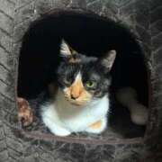 ヒメ日記 2025/08/14 13:58 投稿 あみ マリン土浦本店