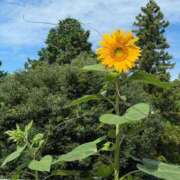 ヒメ日記 2025/08/15 18:02 投稿 あみ マリン土浦本店