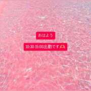 ヒメ日記 2025/05/23 08:12 投稿 谷村(たにむら) 八王子人妻城