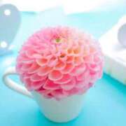 ヒメ日記 2025/05/30 08:42 投稿 谷村(たにむら) 八王子人妻城