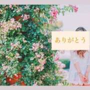 ヒメ日記 2025/06/16 12:33 投稿 谷村(たにむら) 八王子人妻城