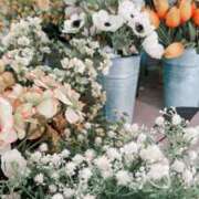 ヒメ日記 2025/07/24 08:45 投稿 谷村(たにむら) 八王子人妻城