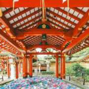 ヒメ日記 2025/08/12 14:51 投稿 谷村(たにむら) 八王子人妻城