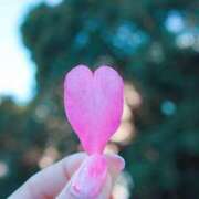 ヒメ日記 2025/08/21 08:06 投稿 谷村(たにむら) 八王子人妻城