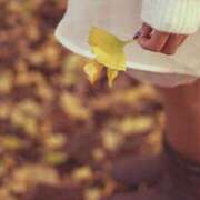 ヒメ日記 2025/09/02 08:45 投稿 谷村(たにむら) 八王子人妻城