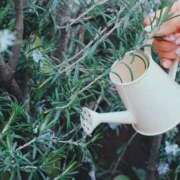 ヒメ日記 2025/09/08 08:06 投稿 谷村(たにむら) 八王子人妻城