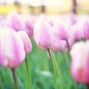 ヒメ日記 2025/09/16 12:27 投稿 谷村(たにむら) 八王子人妻城