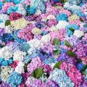 ヒメ日記 2025/09/24 08:51 投稿 谷村(たにむら) 八王子人妻城