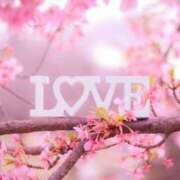 ヒメ日記 2025/09/29 12:09 投稿 谷村(たにむら) 八王子人妻城