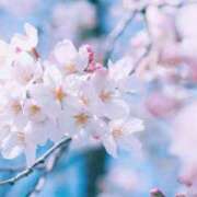 ヒメ日記 2025/10/02 14:15 投稿 谷村(たにむら) 八王子人妻城