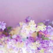 ヒメ日記 2025/10/31 08:12 投稿 谷村(たにむら) 八王子人妻城