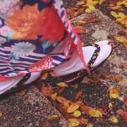 ヒメ日記 2025/11/04 12:48 投稿 谷村(たにむら) 八王子人妻城